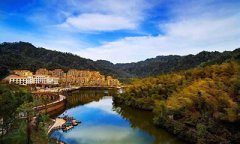 熱點聚焦|118臺!貴州天鵝堡森林公園項目簽約韋伯